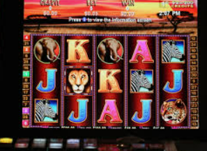 ayx大厅手机版2024最新版