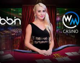 ayx大厅手机版2024最新版